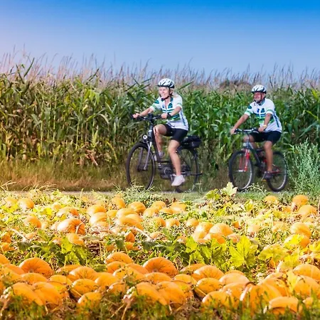 Ferk شقة باد رادكرسبرغ