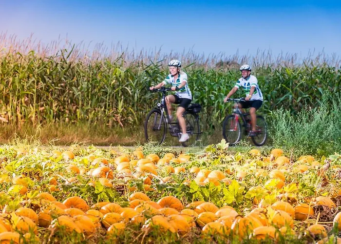 Ferk Appartement Bad Radkersburg